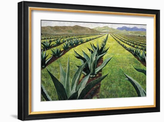 Maguey Plants with Cloudy Sky, 1999-Pedro Diego Alvarado-Framed Giclee Print