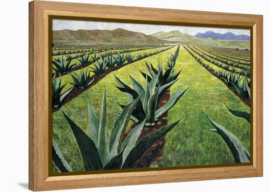 Maguey Plants with Cloudy Sky, 1999-Pedro Diego Alvarado-Framed Premier Image Canvas