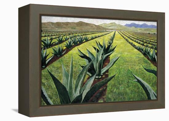 Maguey Plants with Cloudy Sky, 1999-Pedro Diego Alvarado-Framed Premier Image Canvas