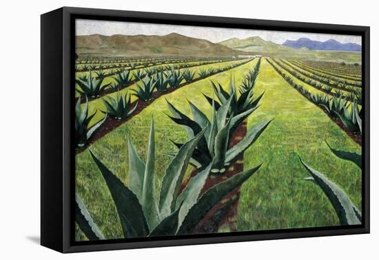 Maguey Plants with Cloudy Sky, 1999-Pedro Diego Alvarado-Framed Premier Image Canvas