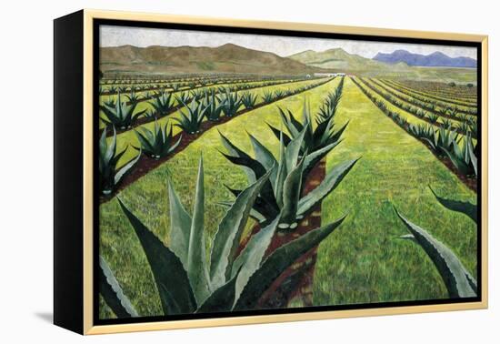 Maguey Plants with Cloudy Sky, 1999-Pedro Diego Alvarado-Framed Premier Image Canvas