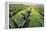 Maguey Plants with Cloudy Sky, 1999-Pedro Diego Alvarado-Framed Premier Image Canvas