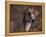 Magyar Agar / Hungarian Greyhound-Adriano Bacchella-Framed Premier Image Canvas