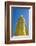 Maha Bodhi Ta Htaung Standing Buddha, one of the largest standing Buddhas in the world, Monywa-Jan Miracky-Framed Photographic Print