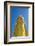 Maha Bodhi Ta Htaung Standing Buddha, one of the largest standing Buddhas in the world, Monywa-Jan Miracky-Framed Photographic Print