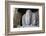 Mahesamurti of Elephant Island Caves, Mumbai, India-Kymri Wilt-Framed Photographic Print