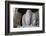 Mahesamurti of Elephant Island Caves, Mumbai, India-Kymri Wilt-Framed Photographic Print