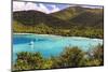 Maho Bay, Virgin Island National Park, St John, USVI-George Oze-Mounted Photographic Print