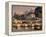 Mahon Port-Kiku Poch-Framed Stretched Canvas