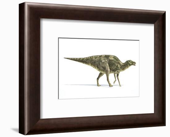 Maiasaura Dinosaur, Artwork-null-Framed Photographic Print