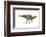 Maiasaura Dinosaur, Artwork-null-Framed Photographic Print