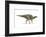 Maiasaura Dinosaur, Artwork-null-Framed Photographic Print