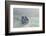 Maid of the Mist Sightseeing Boat, Niagara Falls, Ontario, Canada-Cindy Miller Hopkins-Framed Photographic Print