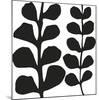 Maidenhair (black on white)-Denise Duplock-Mounted Art Print