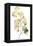 Maidenhair Branch I-null-Framed Stretched Canvas