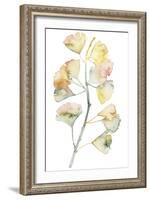Maidenhair Branch II-null-Framed Art Print