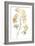 Maidenhair Branch II-null-Framed Art Print