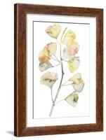 Maidenhair Branch II-null-Framed Art Print