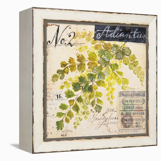 Maidenhair Fern…Sketchbook-Angela Staehling-Framed Stretched Canvas