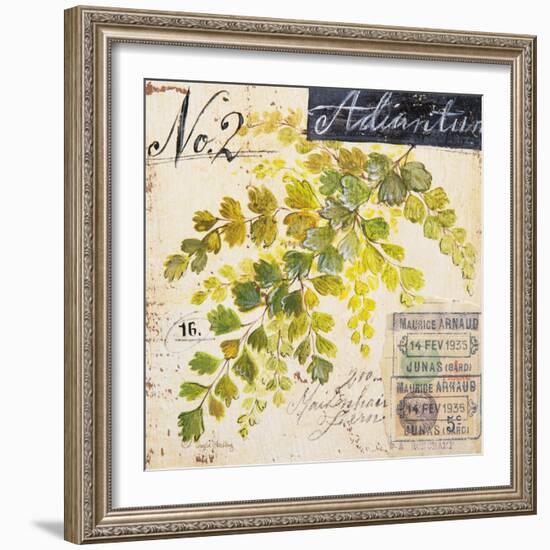 Maidenhair Fern…Sketchbook-Angela Staehling-Framed Art Print