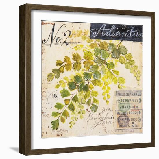 Maidenhair Fern…Sketchbook-Angela Staehling-Framed Art Print