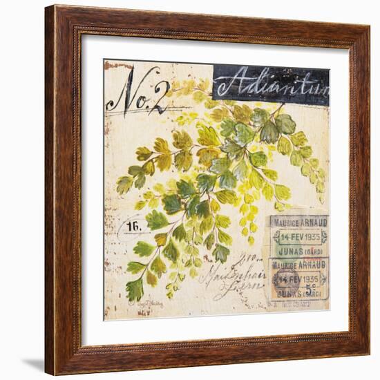 Maidenhair Fern…Sketchbook-Angela Staehling-Framed Art Print