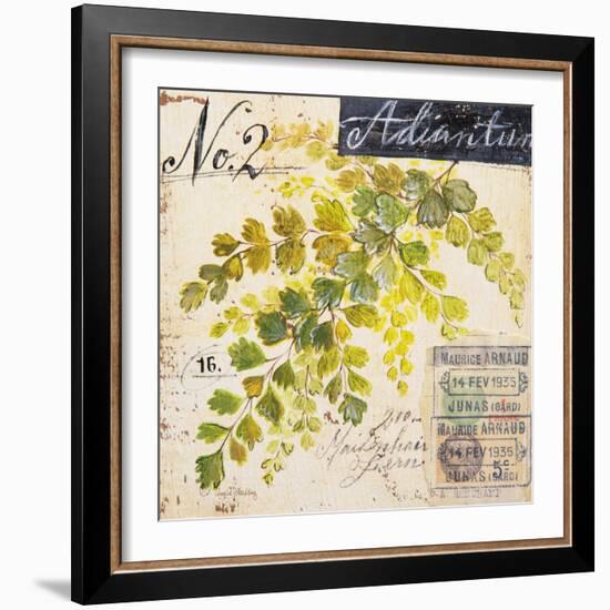 Maidenhair Fern…Sketchbook-Angela Staehling-Framed Art Print