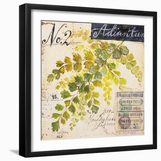 Maidenhair Fern…Sketchbook-Angela Staehling-Framed Art Print