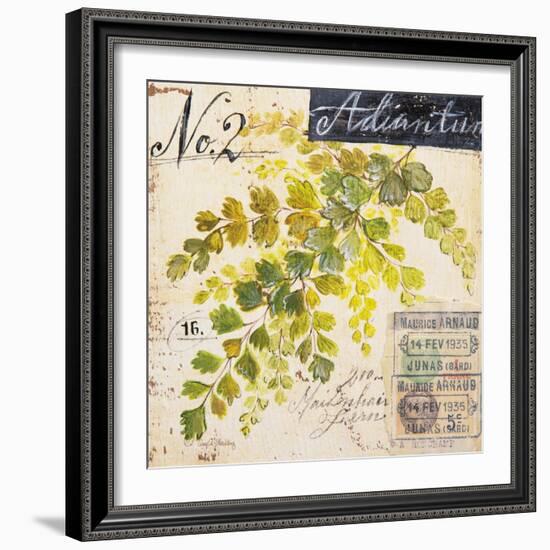 Maidenhair Fern…Sketchbook-Angela Staehling-Framed Art Print