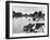 Maidenhead 1950s-null-Framed Photographic Print