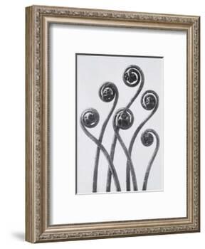 Maidenhead Fern-Karl Blossfeldt-Framed Art Print