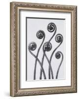 Maidenhead Fern-Karl Blossfeldt-Framed Art Print