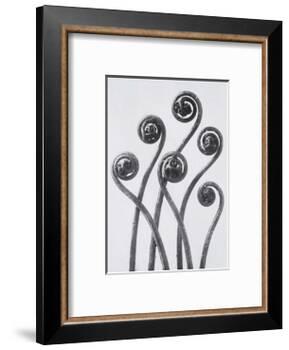 Maidenhead Fern-Karl Blossfeldt-Framed Art Print