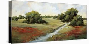 Scarlet Fields II-Maija Baynes-Stretched Canvas