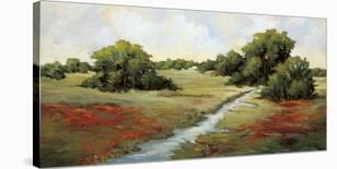 Scarlet Fields II-Maija Baynes-Stretched Canvas