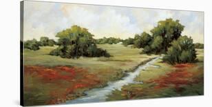 Scarlet Fields I-Maija Baynes-Stretched Canvas