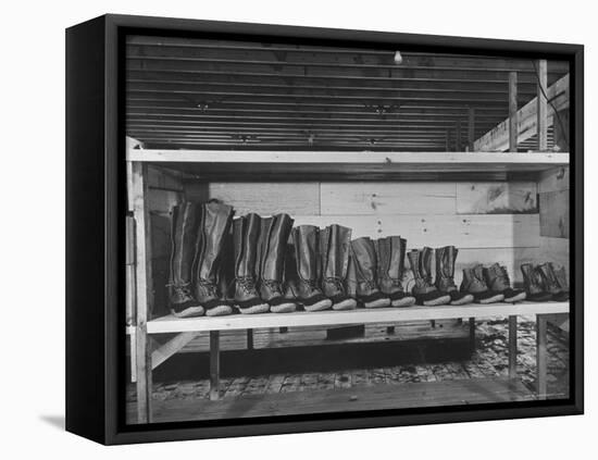 Mail Order Co. LL Bean's Famous Maine Hunting Shoes Lined Up by Size from 6 1/2 to 18 In-George Strock-Framed Premier Image Canvas