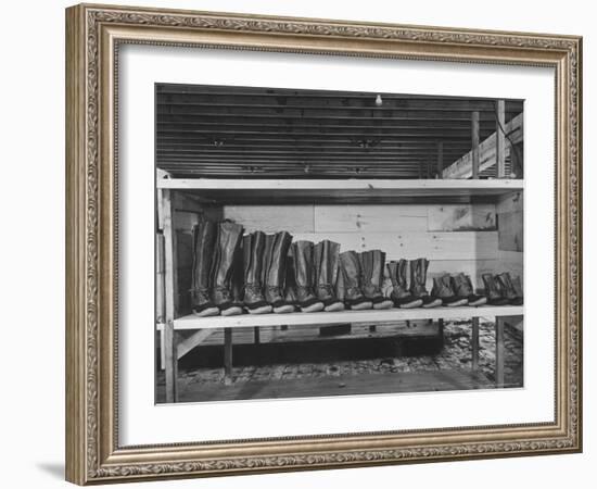 Mail Order Co. LL Bean's Famous Maine Hunting Shoes Lined Up by Size from 6 1/2 to 18 In-George Strock-Framed Photographic Print