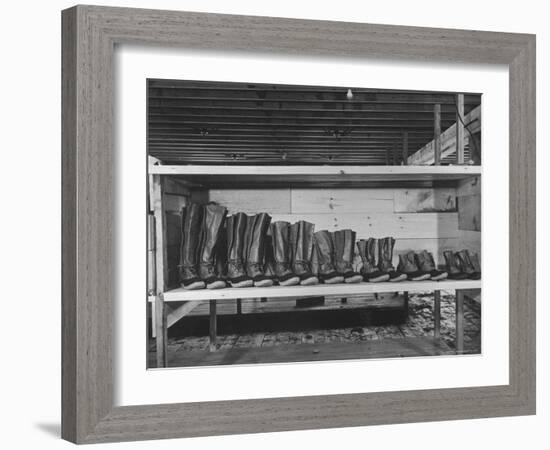 Mail Order Co. LL Bean's Famous Maine Hunting Shoes Lined Up by Size from 6 1/2 to 18 In-George Strock-Framed Photographic Print