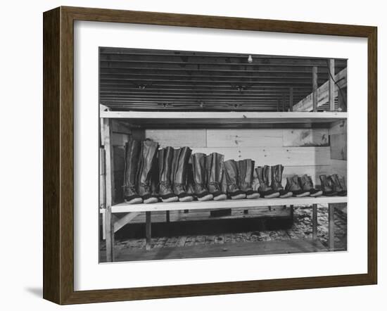 Mail Order Co. LL Bean's Famous Maine Hunting Shoes Lined Up by Size from 6 1/2 to 18 In-George Strock-Framed Photographic Print