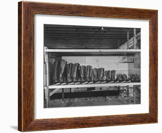 Mail Order Co. LL Bean's Famous Maine Hunting Shoes Lined Up by Size from 6 1/2 to 18 In-George Strock-Framed Photographic Print