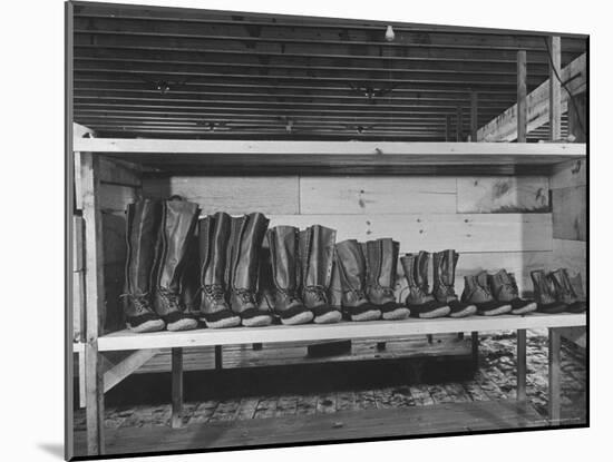 Mail Order Co. LL Bean's Famous Maine Hunting Shoes Lined Up by Size from 6 1/2 to 18 In-George Strock-Mounted Photographic Print