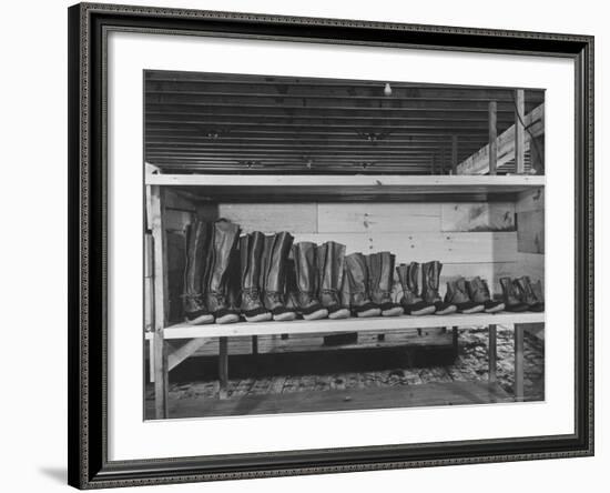 Mail Order Co. LL Bean's Famous Maine Hunting Shoes Lined Up by Size from 6 1/2 to 18 In-George Strock-Framed Photographic Print