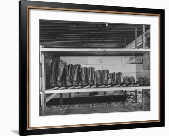 Mail Order Co. LL Bean's Famous Maine Hunting Shoes Lined Up by Size from 6 1/2 to 18 In-George Strock-Framed Photographic Print