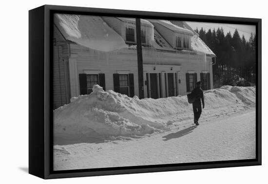 Mailman Delivering Mail after Heavy Snowfall, Rear View, Vermont, 1940-Marion Post Wolcott-Framed Premier Image Canvas