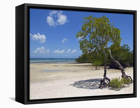 Main Beach at Fundu Lagoon at Low Tide, Fundu Lagoon Resort, Pemba Island, Zanzibar, East Africa-Paul Harris-Framed Premier Image Canvas