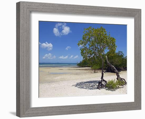 Main Beach at Fundu Lagoon at Low Tide, Fundu Lagoon Resort, Pemba Island, Zanzibar, East Africa-Paul Harris-Framed Photographic Print