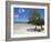 Main Beach at Fundu Lagoon at Low Tide, Fundu Lagoon Resort, Pemba Island, Zanzibar, East Africa-Paul Harris-Framed Photographic Print