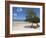 Main Beach at Fundu Lagoon at Low Tide, Fundu Lagoon Resort, Pemba Island, Zanzibar, East Africa-Paul Harris-Framed Photographic Print