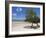 Main Beach at Fundu Lagoon at Low Tide, Fundu Lagoon Resort, Pemba Island, Zanzibar, East Africa-Paul Harris-Framed Photographic Print